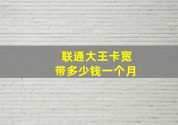 联通大王卡宽带多少钱一个月