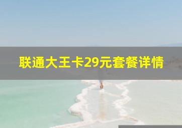 联通大王卡29元套餐详情