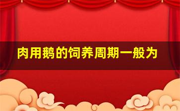 肉用鹅的饲养周期一般为