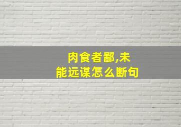 肉食者鄙,未能远谋怎么断句