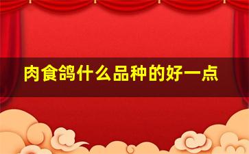 肉食鸽什么品种的好一点