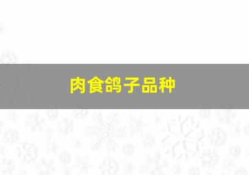 肉食鸽子品种