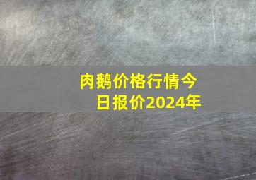 肉鹅价格行情今日报价2024年