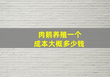 肉鹅养殖一个成本大概多少钱