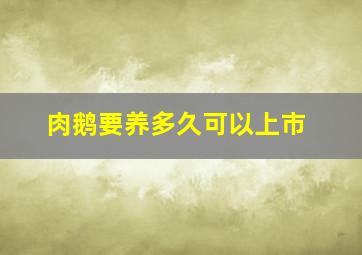 肉鹅要养多久可以上市