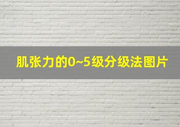 肌张力的0~5级分级法图片