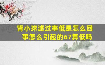 肾小球滤过率低是怎么回事怎么引起的67算低吗