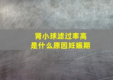 肾小球滤过率高是什么原因妊娠期