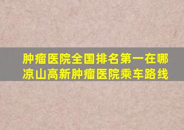 肿瘤医院全国排名第一在哪凉山高新肿瘤医院乘车路线