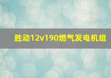 胜动12v190燃气发电机组