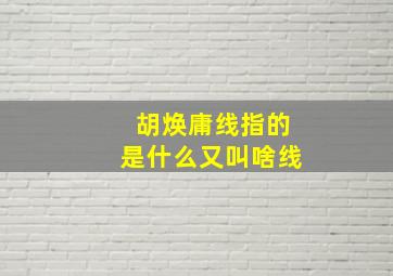 胡焕庸线指的是什么又叫啥线