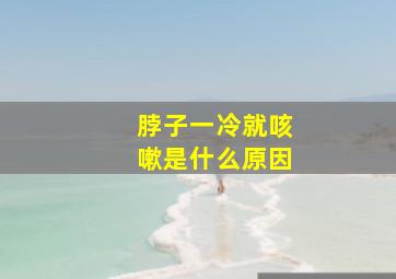 脖子一冷就咳嗽是什么原因