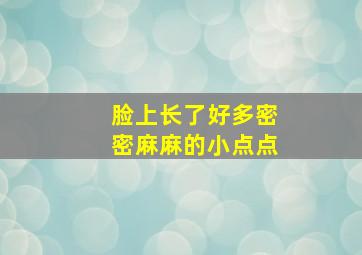 脸上长了好多密密麻麻的小点点