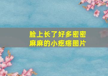 脸上长了好多密密麻麻的小疙瘩图片