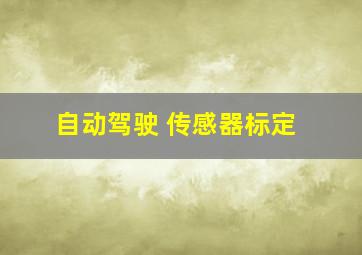 自动驾驶 传感器标定