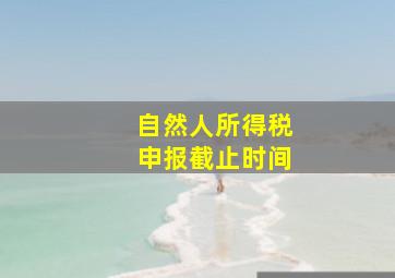 自然人所得税申报截止时间