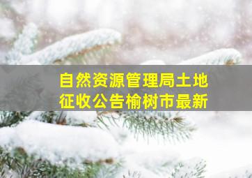 自然资源管理局土地征收公告榆树市最新