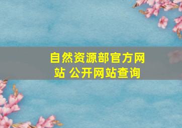 自然资源部官方网站 公开网站查询