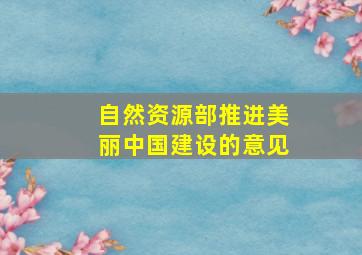 自然资源部推进美丽中国建设的意见