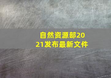 自然资源部2021发布最新文件