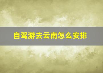 自驾游去云南怎么安排