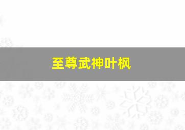 至尊武神叶枫