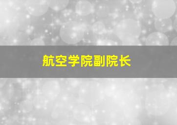 航空学院副院长