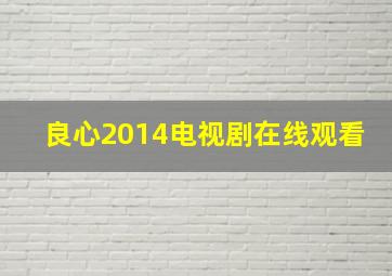 良心2014电视剧在线观看