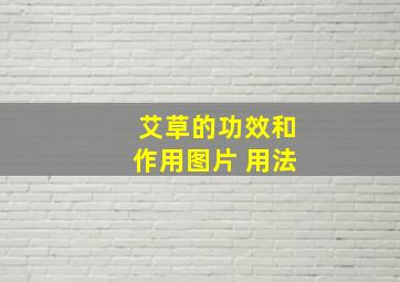 艾草的功效和作用图片 用法