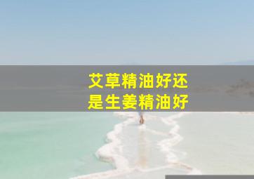 艾草精油好还是生姜精油好