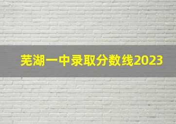 芜湖一中录取分数线2023