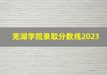 芜湖学院录取分数线2023