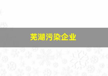 芜湖污染企业