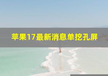 苹果17最新消息单挖孔屏