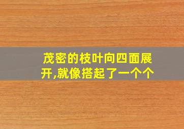 茂密的枝叶向四面展开,就像搭起了一个个