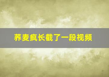 荞麦疯长截了一段视频