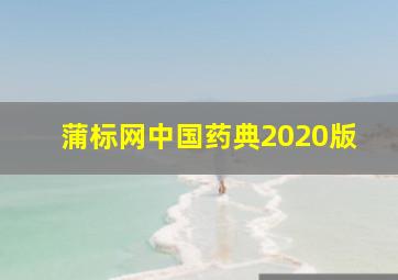 蒲标网中国药典2020版