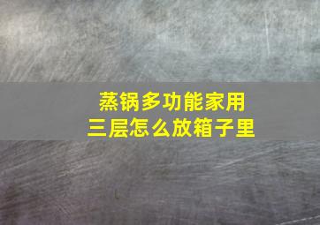 蒸锅多功能家用三层怎么放箱子里