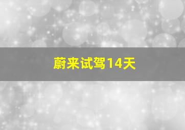 蔚来试驾14天