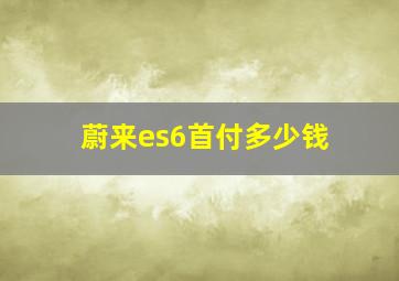 蔚来es6首付多少钱