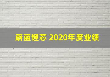 蔚蓝锂芯 2020年度业绩