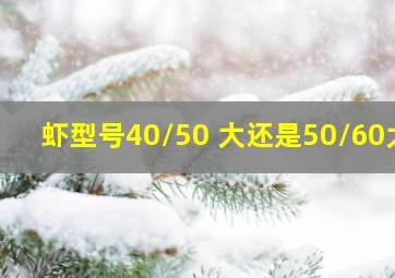 虾型号40/50 大还是50/60大