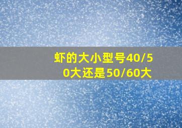 虾的大小型号40/50大还是50/60大