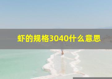 虾的规格3040什么意思