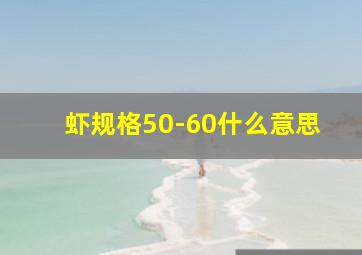 虾规格50-60什么意思