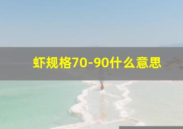 虾规格70-90什么意思