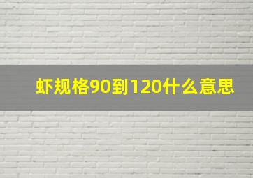 虾规格90到120什么意思