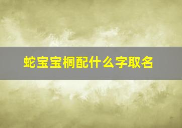 蛇宝宝桐配什么字取名