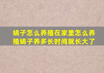 蝎子怎么养殖在家里怎么养殖蝎子养多长时间就长大了