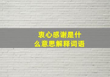 衷心感谢是什么意思解释词语